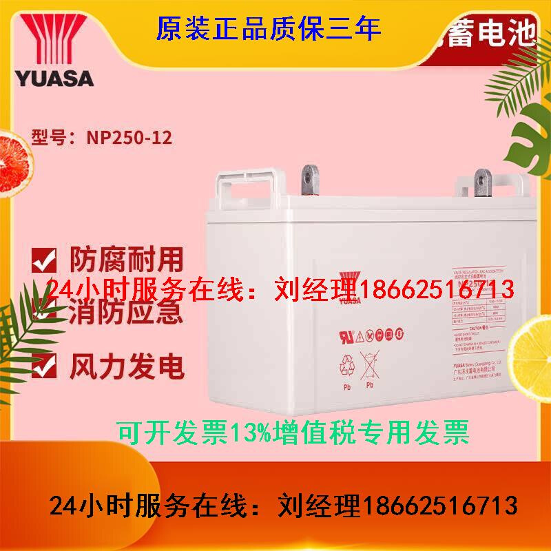 汤浅NP250-12铅酸免维护蓄电池12V250AH直流屏UPS消防EPS通用电源