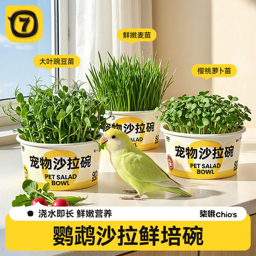 鹦鹉豌豆苗天然啃咬解闷玩具大麦草蔬菜沙拉玄凤小太阳用逗鸟神器