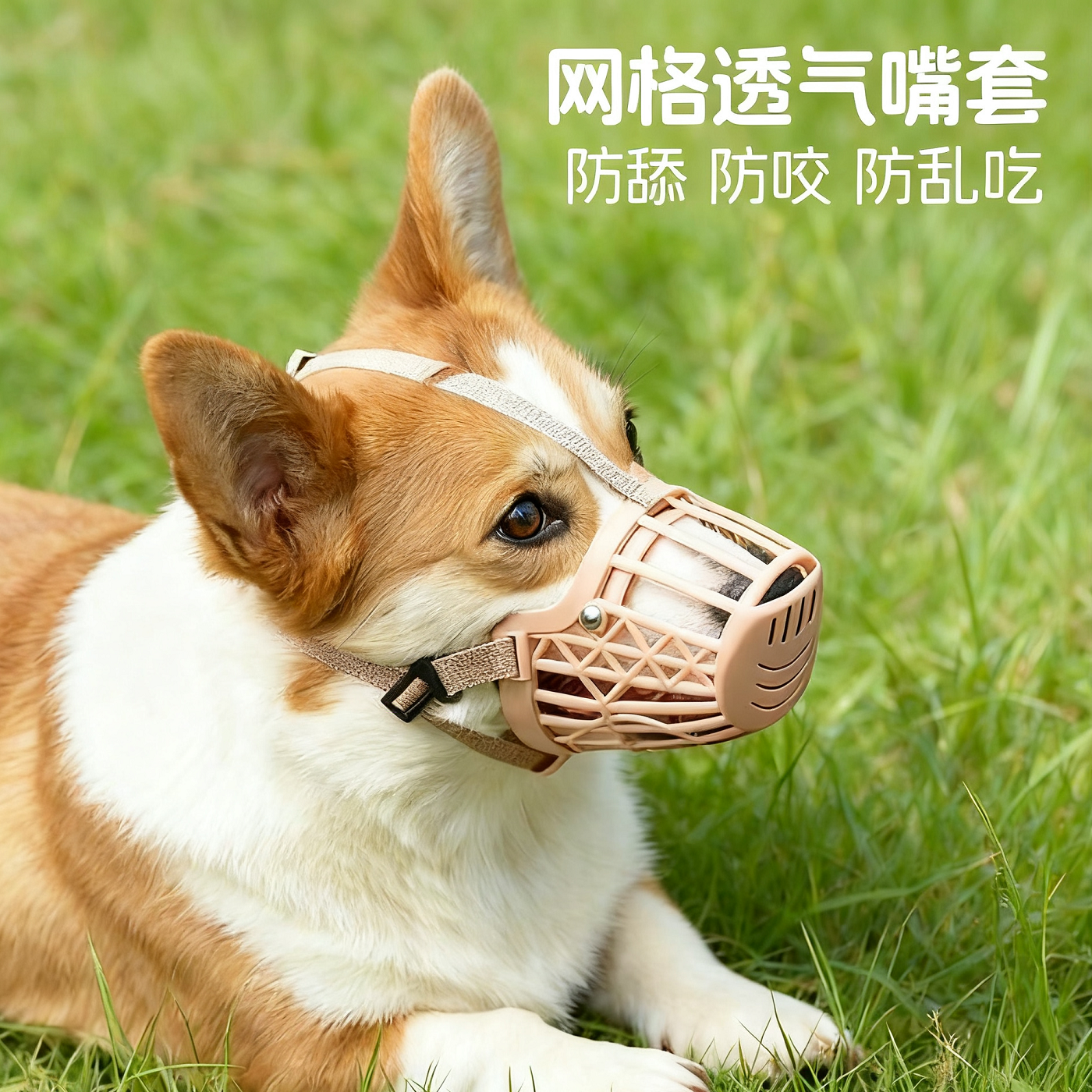 【博主种草】狗狗透气防乱吃嘴套
