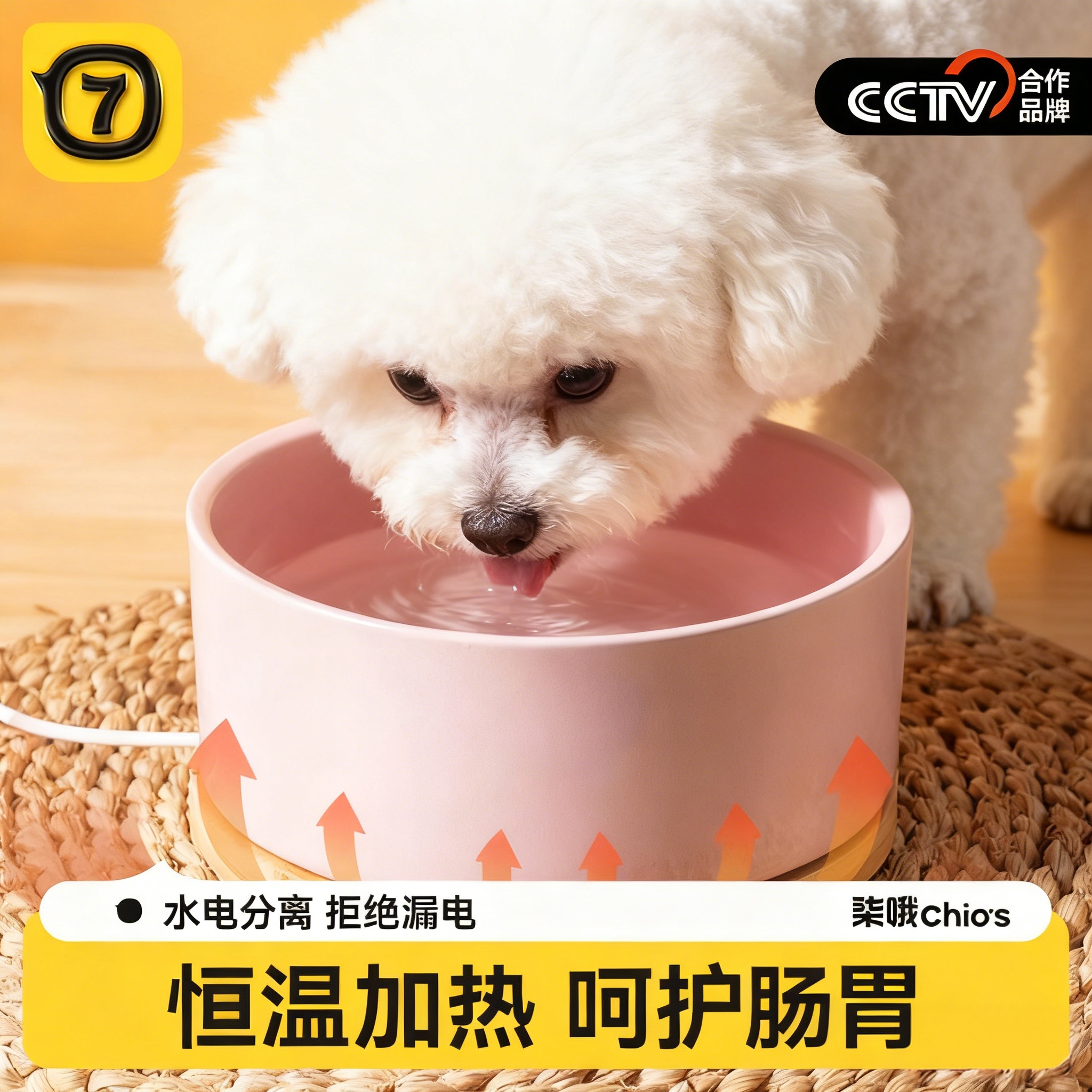 恒温饮水器酸奶机加热陶瓷碗