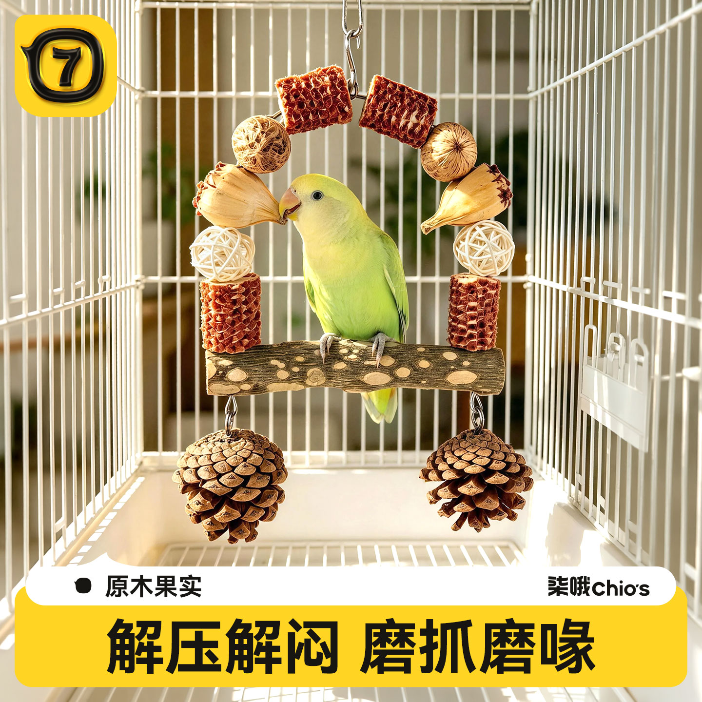 鹦鹉天然果实秋千玩具花椒木站杆图片