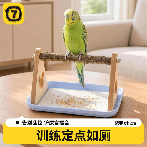 柒哦鹦鹉站杆站架定点排便拉屎神器牡丹玄凤桌面互动训练站台鸟架
