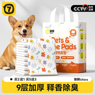 宠物尿垫加厚除臭吸水狗狗用隔尿垫引导上厕所一次性兔子猫用尿片