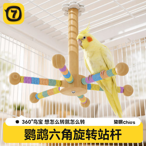 鹦鹉六角旋转风车站杆解闷玩具