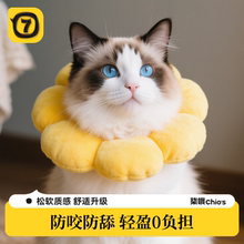 伊丽莎白圈猫咪绝育项圈防舔防咬猫脖圈颈圈狗狗头套围脖宠物用品