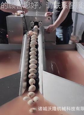 IEA全自灰蛋洗蛋皮蛋全无菌蛋去泥全自动不锈钢洗蛋机动大型自动