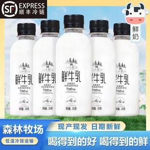 云南乍甸森林牧场巴氏鲜牛乳250g*8瓶装全脂巴氏鲜奶 3.6g乳蛋白