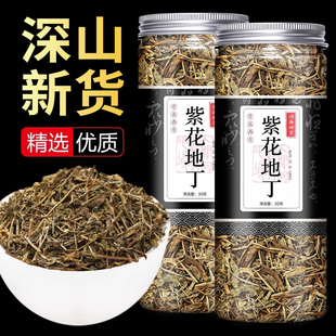 紫花地丁草药紫花地丁茶中药野堇菜地丁草紫地丁苦犁头草药材天然