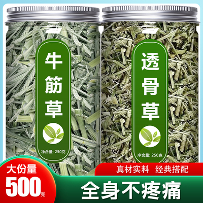 牛筋草透骨草中药材正品