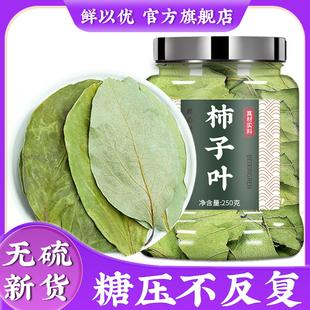 柿子叶的功效与作用天然茶生柿子树叶官方旗舰店霜打过的柿子叶粉