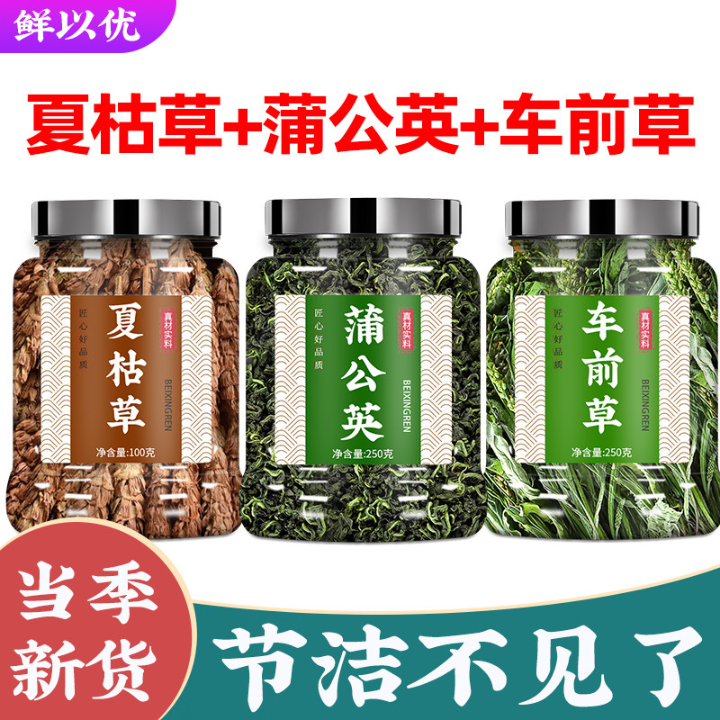 夏枯草蒲公英车前草组合茶泡水喝图片