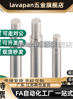 ZAS11不锈钢重载型小径弹簧柱塞MPFH1.5/2/3/4/5-1.5/3/4/6/8/9/1
