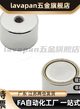 BMF01/BMF02/BMF06/BMF11/21-A8/A10/A12/A15/A20/A25带护套磁铁