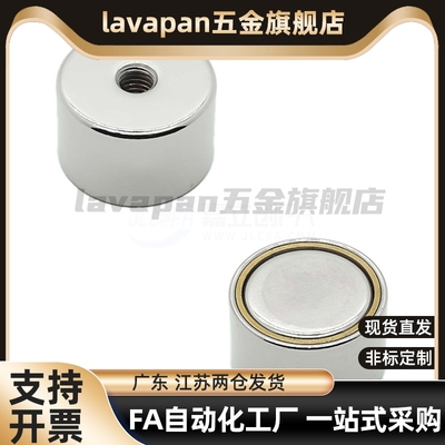 BMF01/BMF02/BMF06/BMF11/21-A8/A10/A12/A15/A20/A25带护套磁铁