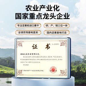 鲜记罐装原味腰果仁松子坚果炒货每日坚果办公室零食小吃