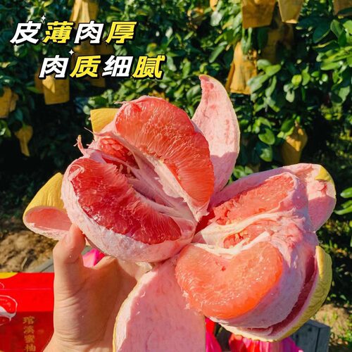 【平和琯溪红心蜜柚 红心柚】老树柚子果大皮薄9斤礼盒新鲜水果代