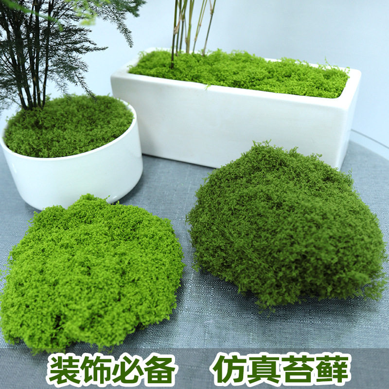 仿真丝状苔藓草坪白发藓仿真羊毛藓假青苔景观布置盆景仿真苔藓丝图片
