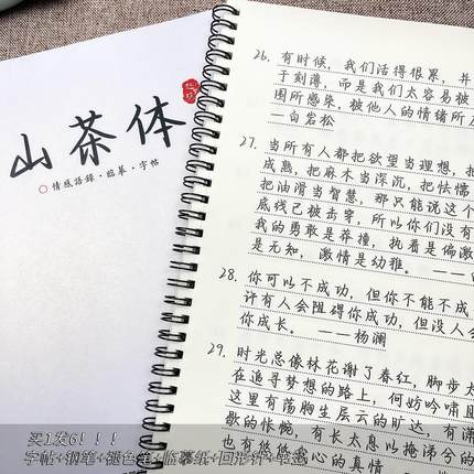 山茶体字帖行楷书成人入门钢笔临摹字帖玫瑰体初中生励志文案