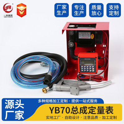 定量加油泵 70 柴油泵 加油泵 DC Fuel Transfer Pump Kit