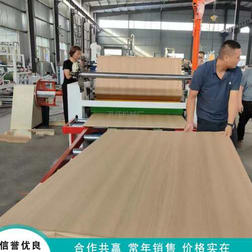 硅酸钙板防火皮平贴机 中空板贴PP膜贴膜机 实木颗粒板pet覆膜机