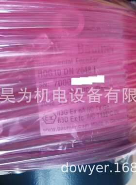 堡盟BAUMER编码器HOG 10 DN 2048 I 插头 LR SR 16H7 17K KLK-AX