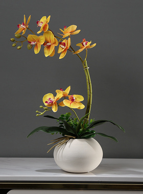 仿真蝴蝶兰花艺套装摆件新中式客厅餐桌博古架假花桌面小盆栽装饰