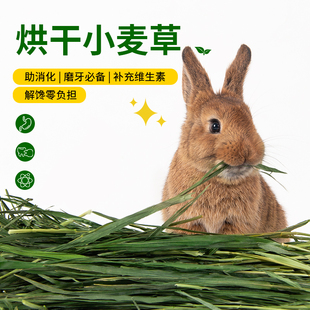 我和它低温烘干小麦草兔子龙猫豚鼠仓鼠专用草料营养草干草磨牙草