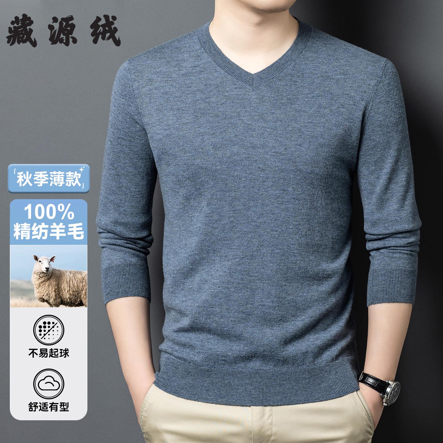 2025秋季新款羊毛衫男100纯羊毛