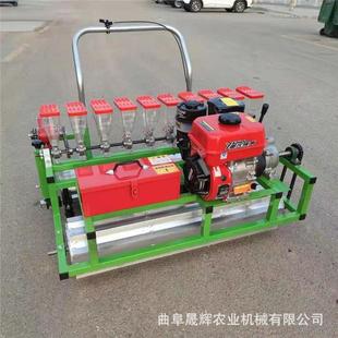 甜菜播种机?汽油8行芫荽精播机小型蔬菜颗粒种子播种机价格