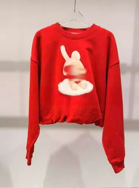 D家26春季新款甜美减龄卡通兔子字母云朵印花短款卫衣3K1JA03