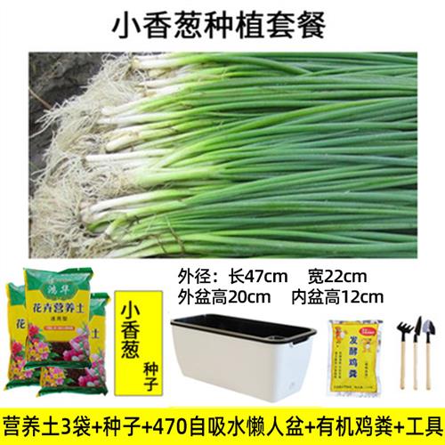 上水石吸水石树脂摆件假山鱼缸造景小饰品微景观摆件桥梁人物植物