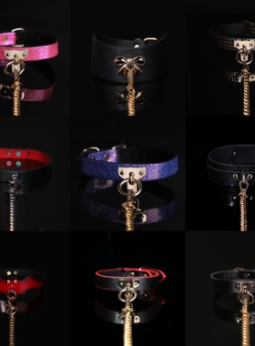 MIDNIGHT DIARY皮质项圈T字颈环choker项链k9牵引绳「项圈合集」