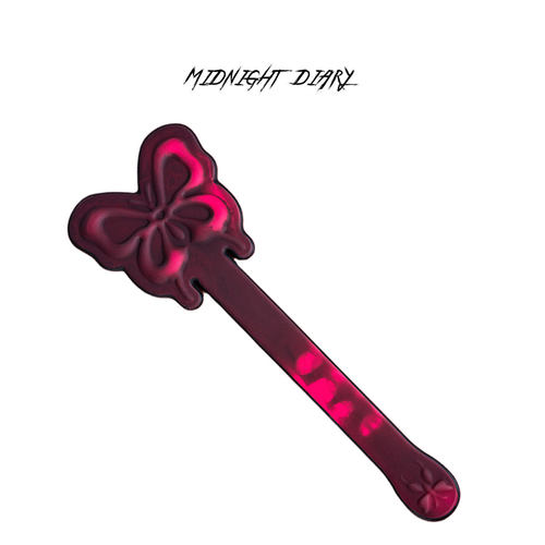 Midnight Diary感温变色蝴蝶留印拍子sp小圈实践工具情侣手持礼物