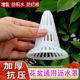 抗压加厚花盆防漏土垫透气垫沥水罩盆底垫片锥型防烂根沥水网垫底