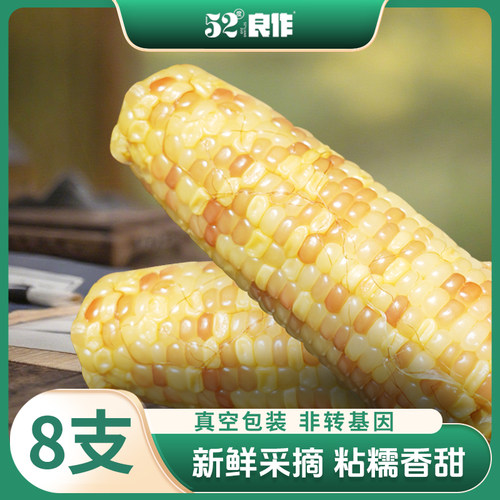 52度良作甄选花糯玉米（小穗）