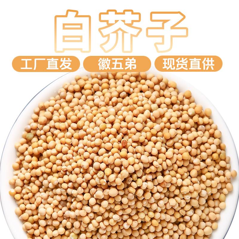 【】精选农家白芥子好货颗