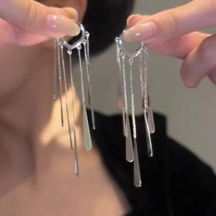 镜头感满分~长款流苏耳环小众设计2025年新款轻奢耳钉高级耳饰女