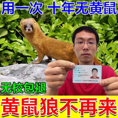 黄鼠狼专用药养鸡防黄鼠狼驱赶神器鸡舍养殖场强力气味驱赶吓克星