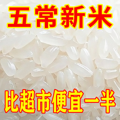 【好米抢购】五常大米当季新米长粒香5斤2.5kg香米现磨产地直发