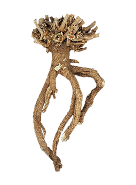 野生老黄芪【整根发货】不怕掺假