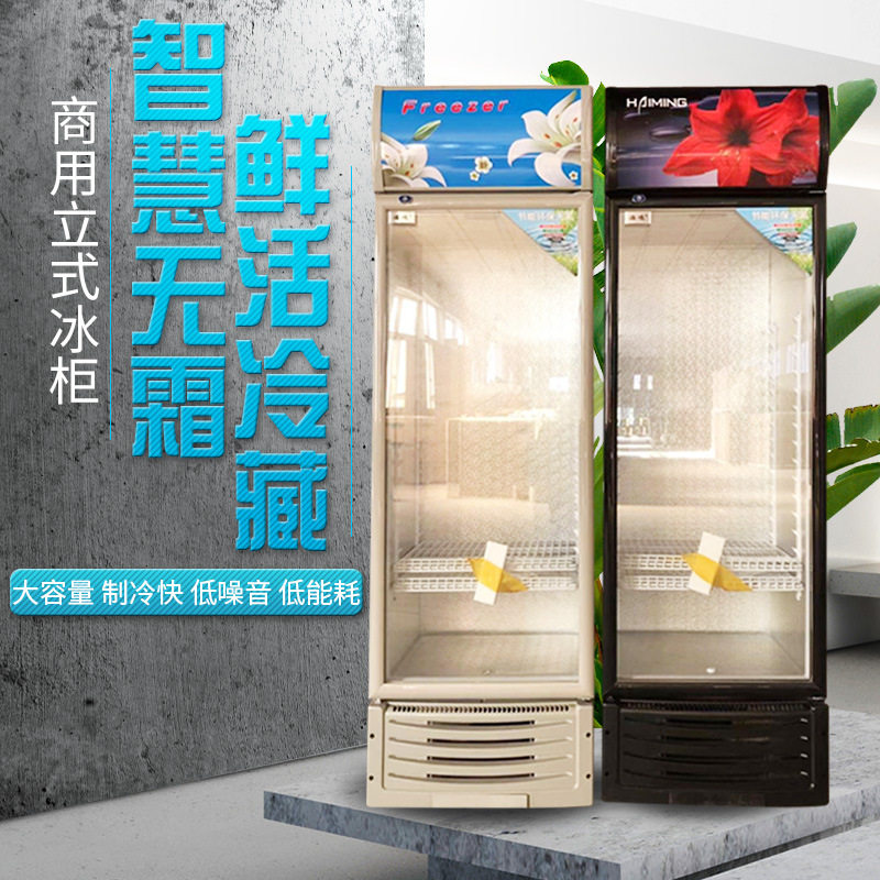 饮料柜商用立式冰柜冰箱玻璃单门超市冷柜啤酒饮品保鲜冷藏展示柜