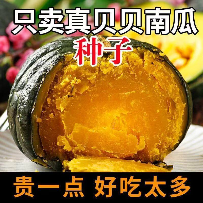 板栗贝贝南瓜籽春秋新手绿面瓜板栗味粉糯香甜栗小南瓜窝瓜籽