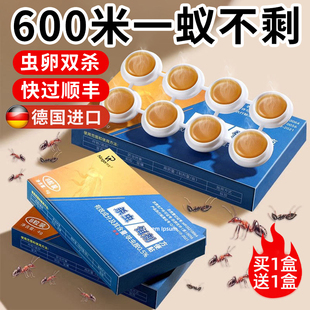 蚂蚁药家用全窝端红白黄蚁专用室内非无毒户外菜地一锅端杀蚁饵剂