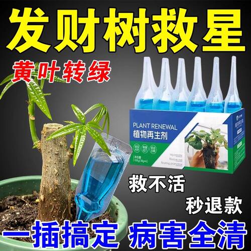 发财树植物再生剂专用营养液黄叶枯叶烂根专用盆栽再生复活液肥料