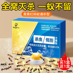 蚂蚁药家用全窝端红白黄蚁专用室内非无毒户外菜地一锅端杀蚁饵剂