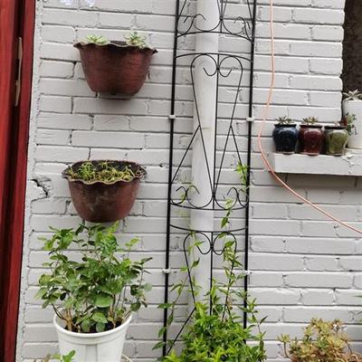 半圆爬藤架 落水管遮挡爬藤架 柱子遮挡爬藤架 撑花支架 花支撑架