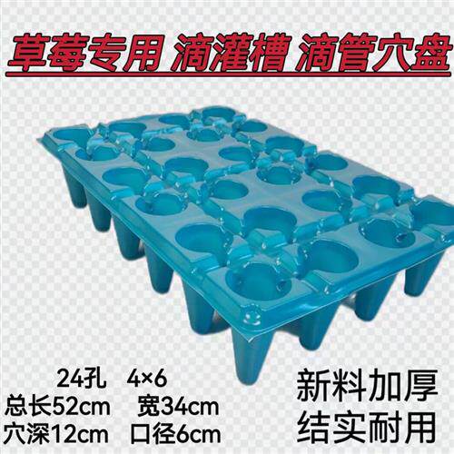 草莓专用24孔高脚新塑料料加厚耐用大号滴管槽育苗盘营养钵托盘
