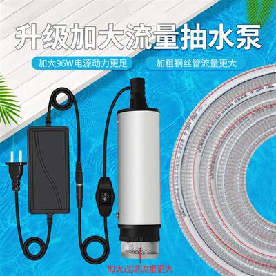 220V小型微型抽水泵抽油泵抽水泵换水泵不锈钢潜水泵小号家用软管
