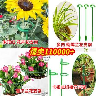 花卉固定支柱杆防倒伏园艺支架蝴蝶兰多肉盆栽花支撑架蟹爪兰花架