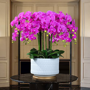 高档新款大盆蝴蝶兰彷真花客厅盆栽摆件兰花公司前台装饰摆设假花